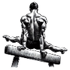 Gymnastics pommel horse