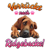 Rhodesian Ridgeback VERRÜCKT NACH RIDGEBACKS