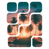 Coconut palm island summer