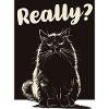 Mr Ctnip - Really?