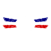 The French team