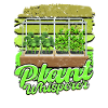 Microgreen Microgreens Plant Whisperer