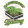 Micro-pousses Microgreens Radic-Beau