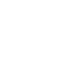 since 2029