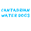 Cantabrian Water Dog