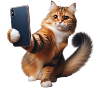 Get ready, selfie-8