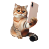 Get ready, selfie-9