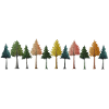 Trees Forest Drawing