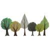 Trees Deciduous Forest Drawing