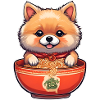 Cute Dog with Ramen Noodles