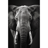 Elefant