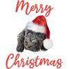 Christmas Poodle Merry Christmas