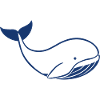 Baby Whale