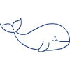Baby Whale