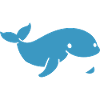 Baby Whale