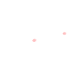 Bébé baleine