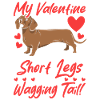 Dachshund Chiweenie Couple Wiener
