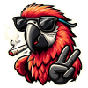 Cool parrot with sunglasses