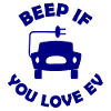 Die E Auto Fans