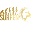 Evolution Surfen