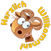 Herzlich Willkommen - Widder Schafe