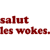 salut les wokes