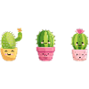 Happy Cactus - Cactus Design