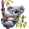 Koalas, les mignons marsupiaux d’Australie
