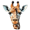 Giraffe Head