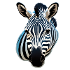 Zebra Head