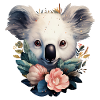 Koala niedlich