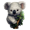 Koala cute