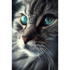 Katze