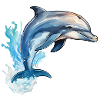 Dolphin jumping