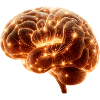 Brilliant Human Brain