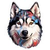 Siberian Husky