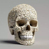 Skull Number 63