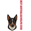 Kelpie Dog Gift