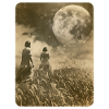 follow the moon