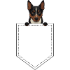 Kelpie Dog Gift
