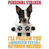 Cadeau de chien Kelpie