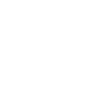 Name - Nico