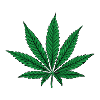 Cannabis Blatt