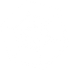 snowflake 4 white