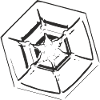 snowflake 4 black