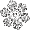 snowflake 10 black