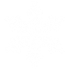 snowflake 6 white