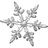 snowflake 8 black