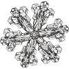snowflake 3 black
