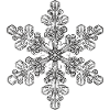 snowflake 6 black